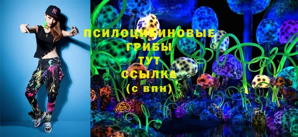 дживик Аркадак