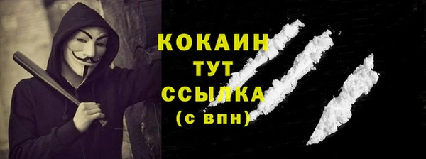 дживик Аркадак