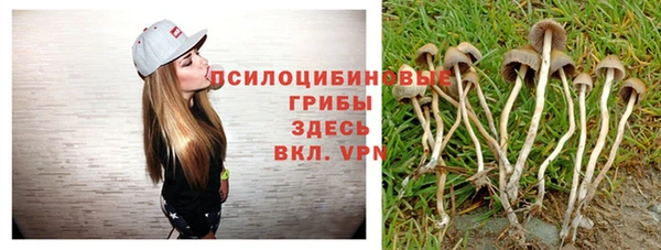 гашик Алексеевка
