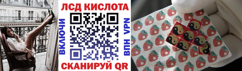 магазин продажи наркотиков  Петухово  мега зеркало  Марки N-bome 1500мкг 