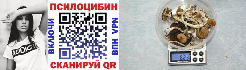 Псилоцибиновые грибы мицелий  купить наркоту  Петухово 