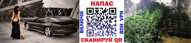 Канабис планчик  мега вход  Петухово  купить  